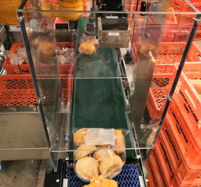 Plastic bag of bread rolls on conveyor belt being analyzed by smart camera