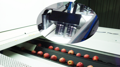 GLOBALSCAN® vision system taking pictures of the fruit for analysis