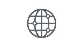 Grey globe icon